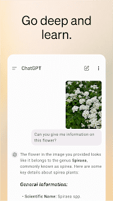 ChatGPT screenshot