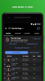 ESPN Fantasy Sports screenshot