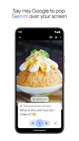 Google Gemini screenshot