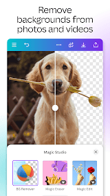 Canva screenshot
