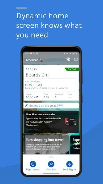 American Airlines screenshot