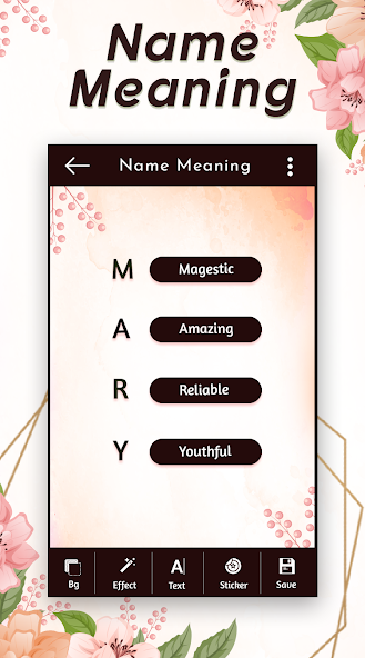 My Name Meaning screenshot